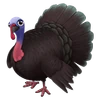 Black Spanish Turkey