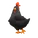 Black Leghorn Chicken