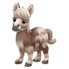 Spotted Wooly Mini Donkey