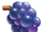 Cabernet Franc Grape