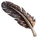 Tail Feather