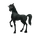 Black Arabian Horse