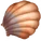 Clam Shell