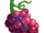 Catawba Grape