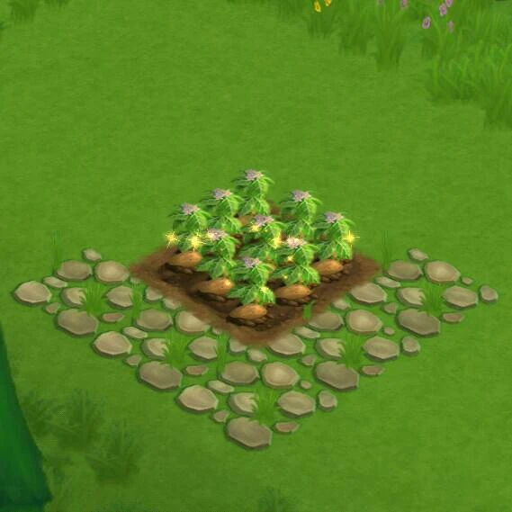 Potato Field FarmVille 2 Country Escape Wiki Fandom
