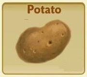 Potato