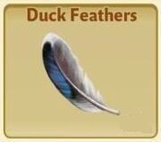 DuckFeathers