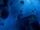 Asteroid field