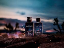 Sauvage Dior Fashion Wiki Fandom