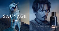 Eau sauvage wiki best sale
