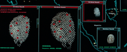 Braga - Fingerprint Match