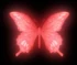 Crimson butterfly