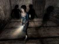 The shadows of Yoshino's relatives attacking Rei.