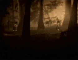 Mio (right) and Mayu (left) running in the woods.