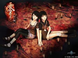 FFII promotional8.jpg