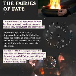 Fairies | Fate: The Winx Saga Wiki | Fandom