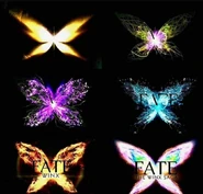 Fairy Wings Opening Intro