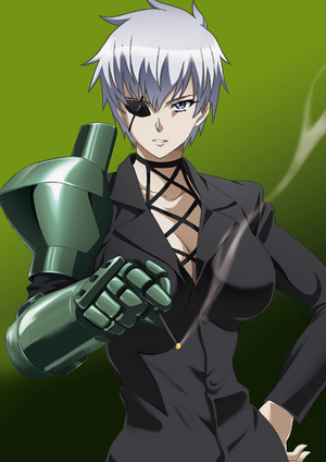 I've always wondered who could replace Najenda as night raid leader. Well  here you go, boss Leone has taken over! : r/AkameGaKILL