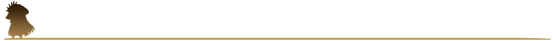 GudaGudaTeitoDivider.png