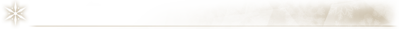 Xmas2017Divider2.png