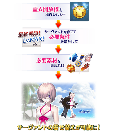 Costume Dress Fate Grand Order Wiki Fandom