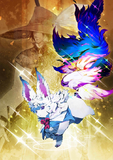 Crystallized Heroic Spirit: Fou-kun of the Meteor