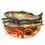Fortune of the Stream