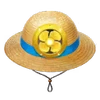 Super Straw Hat