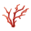 Coral of Dragon King Palace