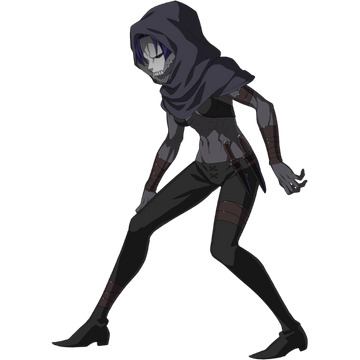 Hassan of the Hundred Faces | Fate/Grand Order Wiki | Fandom