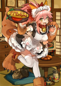 Tamamo Cat Fate Grand Order Wiki Fandom