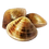 Large Clam.png