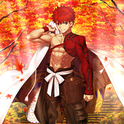 Category Japanese Servants Fate Grand Order Wiki Fandom