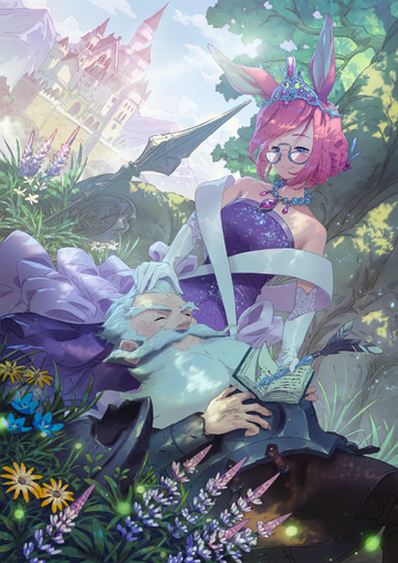 Don Quixote | Fate/Grand Order Wiki | Fandom