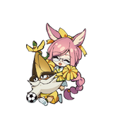 Fate/Dream Striker Sprite