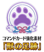 Beasts' Footprint PV.png