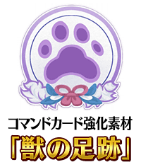 Command Card Strengthening Fate Grand Order Wiki Fandom