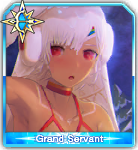 Stage 4 (Grand Servant)