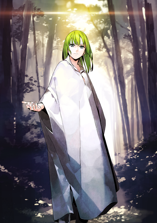 Enkidu Fate/Grand Order Wiki Fandom
