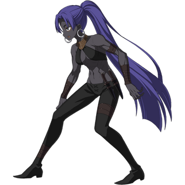 Hassan of the Hundred Faces | Fate/Grand Order Wiki | Fandom