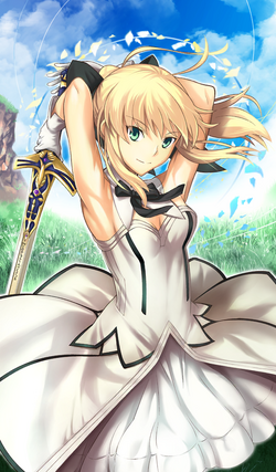 Artoria Pendragon (Lancer), Fate/Grand Order Wiki, Fandom