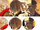 HeaderIconSampe02.png
