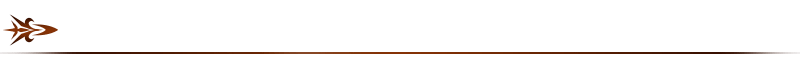 Interlude4divider.png