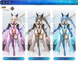 Color Variations (Fate/Grand Order Arcade)
