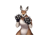 Violent Kangaroo Sheet.webp (163 KB) Expression Sheet