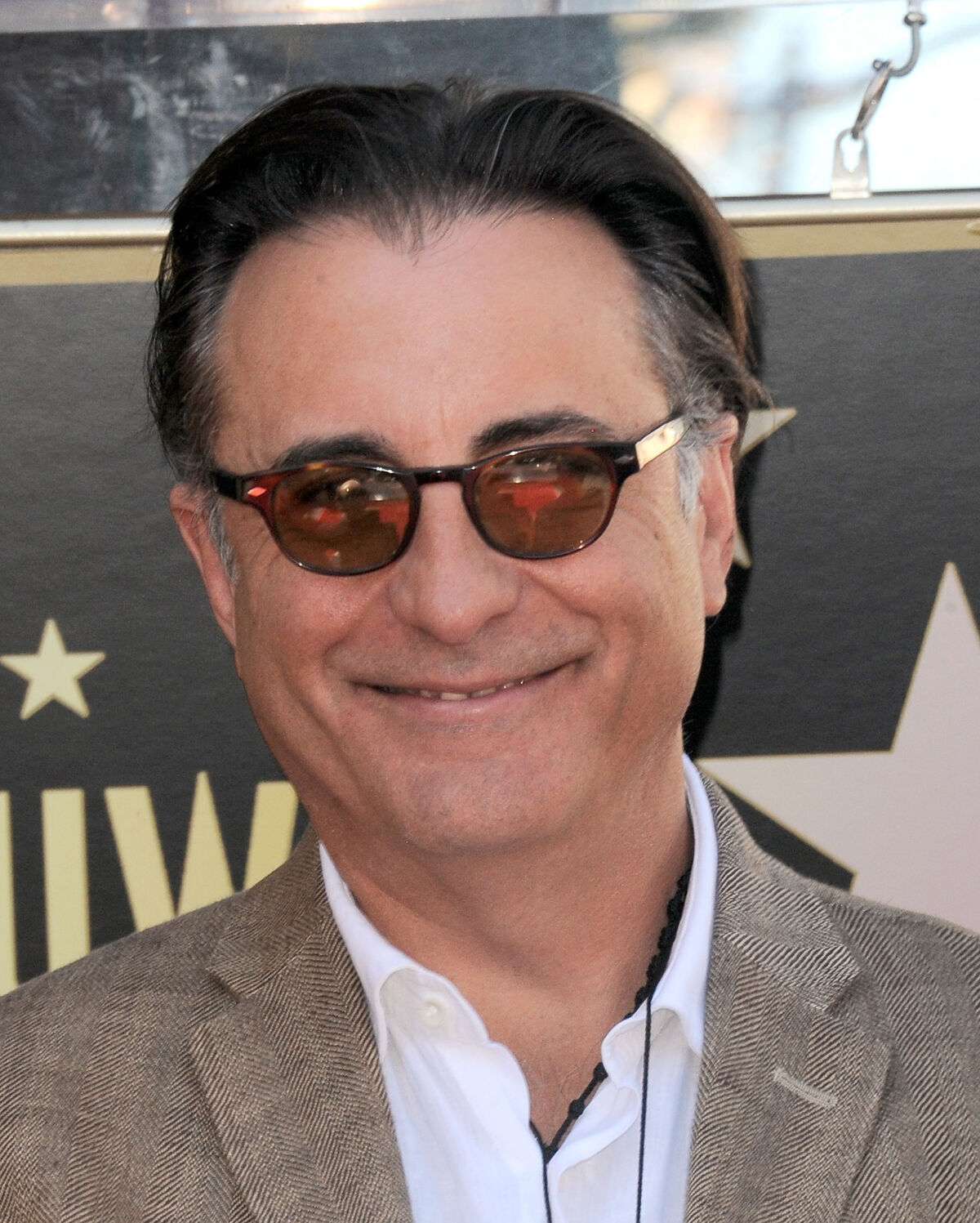 Andy García Father of the Bride Wiki Fandom
