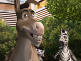 Donkey (character)