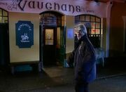 Vaughans