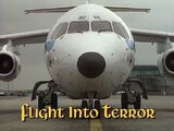 Flight into Terror