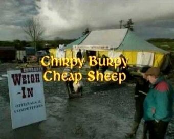 Chirpy Burpy Cheap Sheep Father Ted Wiki Fandom